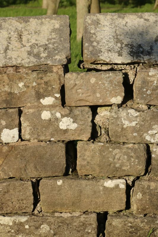 Stone Wall Repair in Farmington, UT